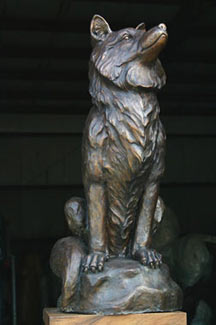 Fox Sitting Bronze