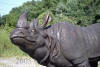 Rhinoceros bronze statue