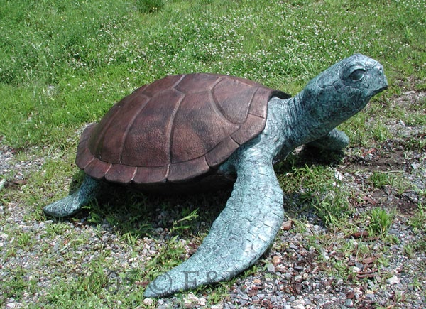 Sea Turtle Bronze-2