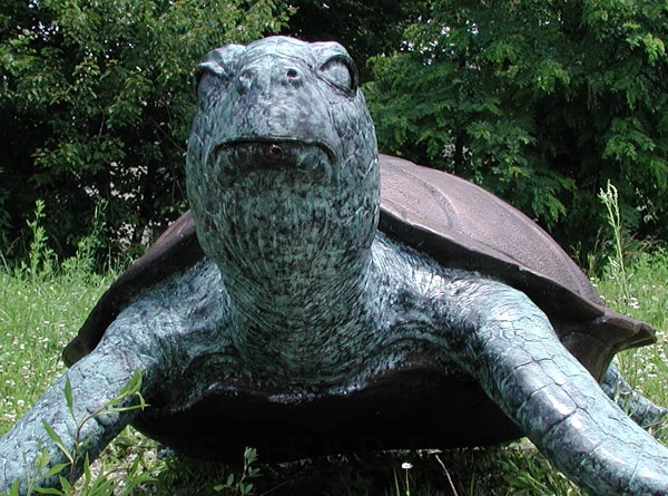 Sea Turtle Bronze-4