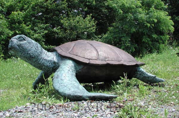 Sea Turtle Bronze-5