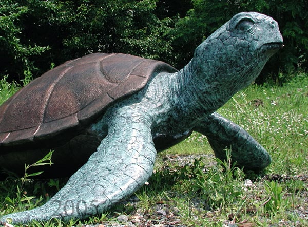 Sea Turtle Bronze-7
