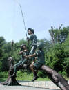 Three Kids Fishing on Tree Branch Bronze statue