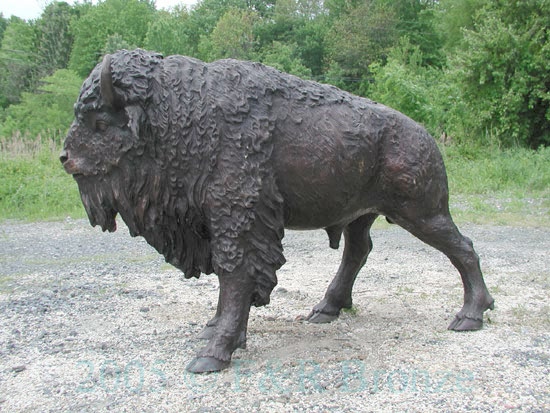American Bison bronze