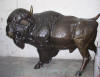 Buffalo bronze sculpture