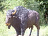 Heroic Bison bronze reproduction