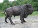 American Bison bronze sculpture