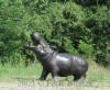 Hippo Bronze sculpture fountain