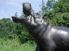Hippopotamus bronze statue