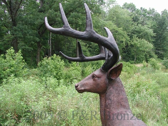 White Tailed Deer bronze sculpture-8