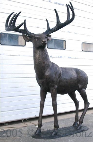 White Tailed Deer bronze sculpture-2