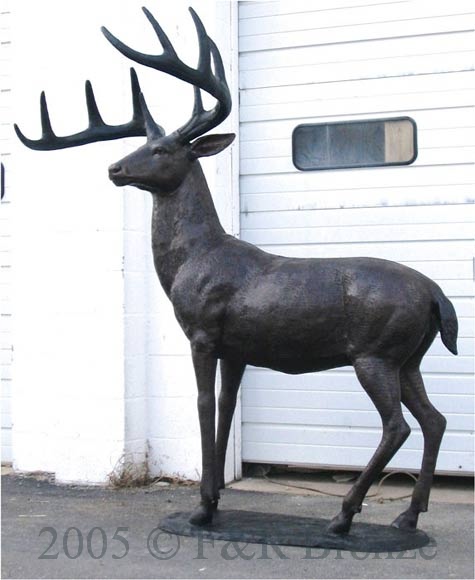 White Tailed Deer bronze sculpture-3