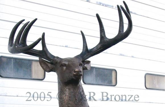 White Tailed Deer bronze sculpture-4