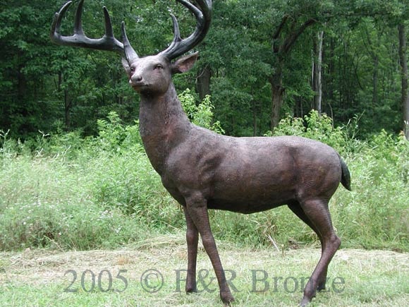 White Tailed Deer bronze sculpture-5
