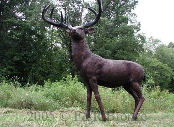 White Tailed Deer bronze sculpture-6