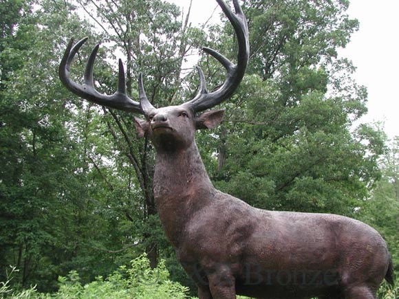 White Tailed Deer bronze sculpture-7