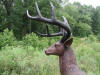 Deer bronze statue