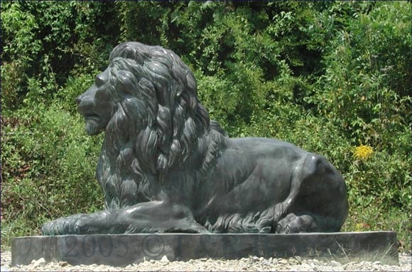 Pair of Majestic Guard Lions bronze-11