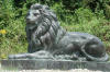 Lion bronze statue