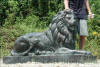 Lion bronze sculpture