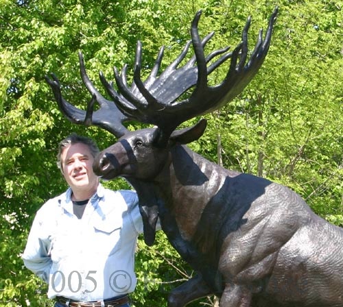 Life Size Moose Standing On Rock bronze-5