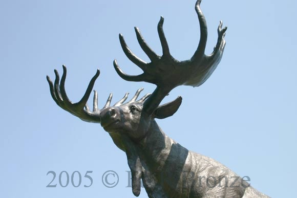 Life Size Moose Standing On Rock bronze-2