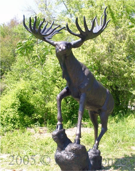 Life Size Moose Standing On Rock bronze-4