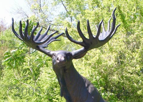 Life Size Moose Standing On Rock bronze-6