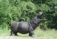 Bronze Hippo Fountain