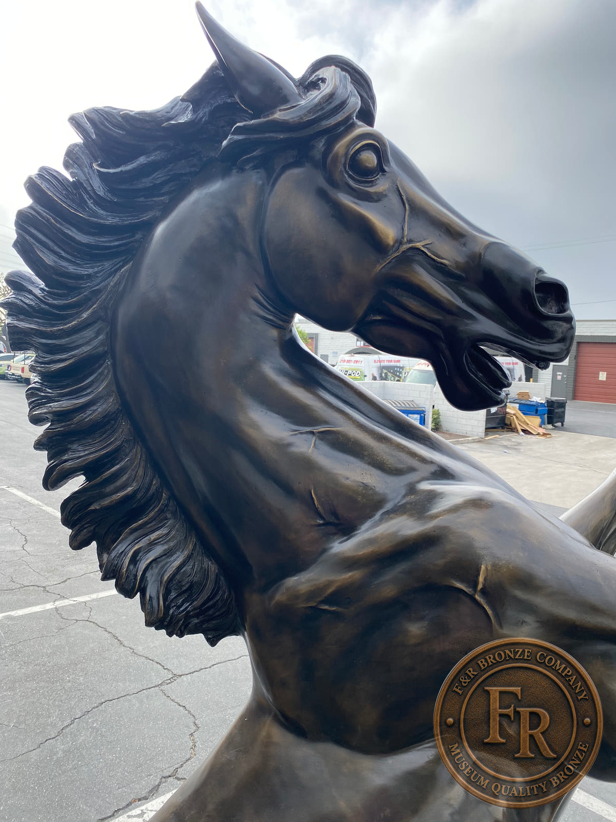 Opposite head detail of the bronze horse sculpture, showing the ears, eye and flowing mane.