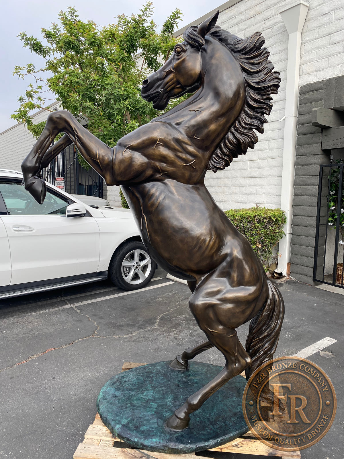 Left rearing bronze horse sculpture in side profile, original product photograph.