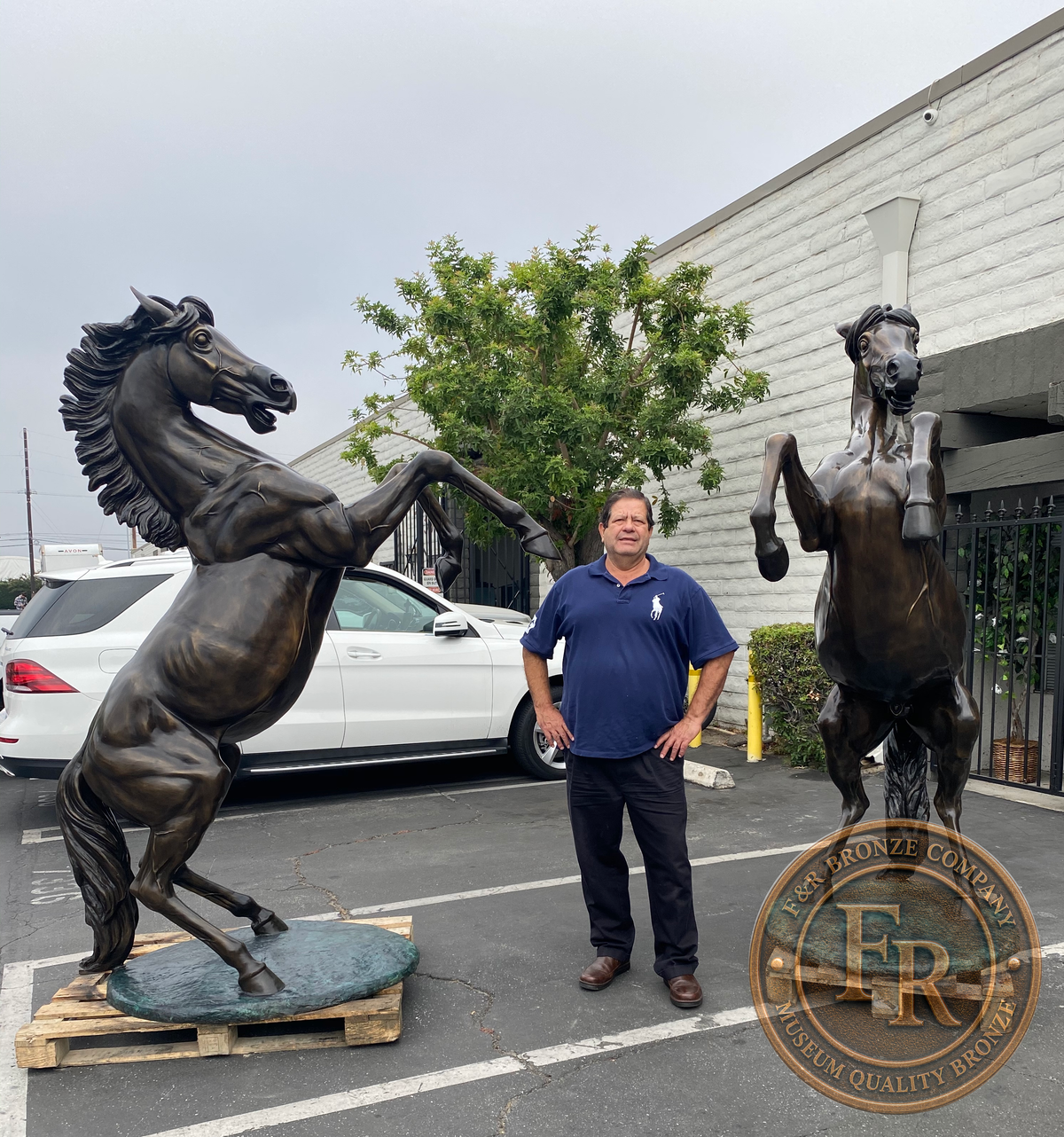 Original angled photograph of life-size bronze horses with Mike standing beside the pair.