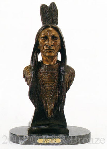 Indian Bust by Bachman