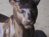 Lioness bronze