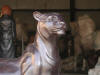 Lioness Statue