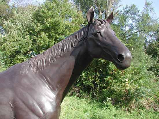 Thoroughbred Horse Bronze Sculpture - 8