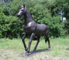 Trotting Horse Bronze
