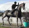Jockey on Horse bronze sculpture