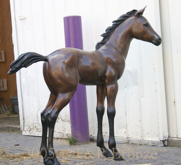 Bronze Foal Standing-4