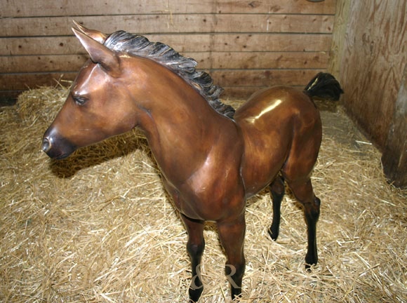 Bronze Foal Standing-7