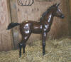 Foal Standing Bronze sculpture