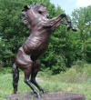 Rearing Stallion bronze sculpture