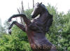 Life Size Rearing Stallion bronze sculpture