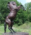 Link to Lifesize horse page