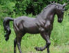 Horse Walking Bronze statue