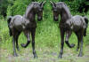 Pair of Horses bronze statue