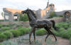 Life Size Yearling Bronze statue by Max Turner