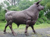 Wall Street Bull bronze sculpture