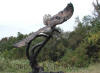 Eagle In Tree bronze reproduction
