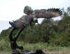 Eagle On Tree bronze sculpture